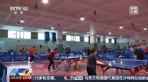艾弗森ballbet 用积木拼乒乓球台